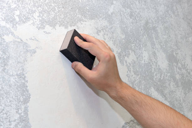 Best Biohazard Mold Removal  in Junction City, KY