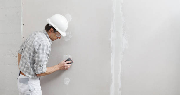 Best Basement Mold Removal  in Junction City, KY
