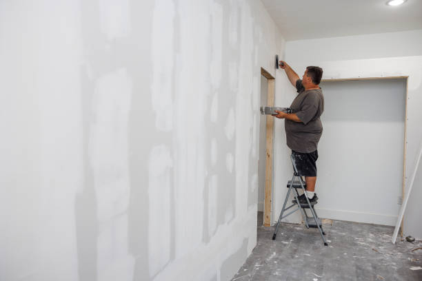 Best Residential Mold Inspection & Testing  in Junction City, KY