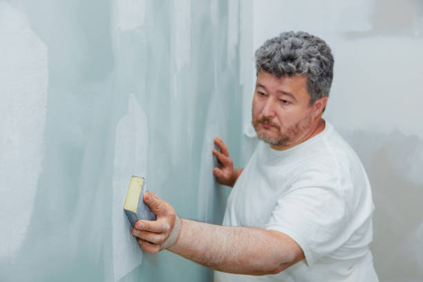 Best Industrial Mold Remediation  in Junction City, KY