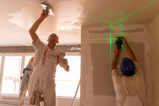 Best Real Estate Mold Inspection  in Junction City, KY